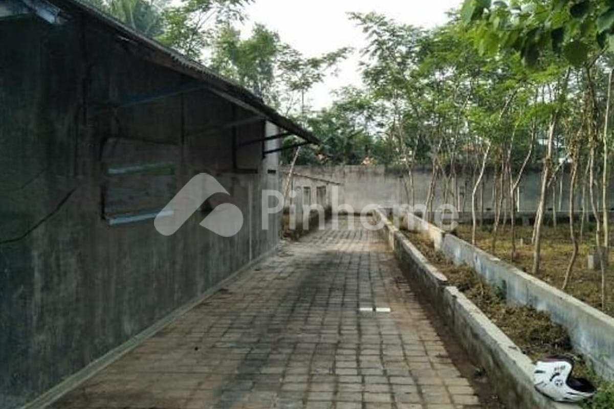 similar property dijual tanah residensial lingkungan asri di jalan pakisan desa kajar - 3