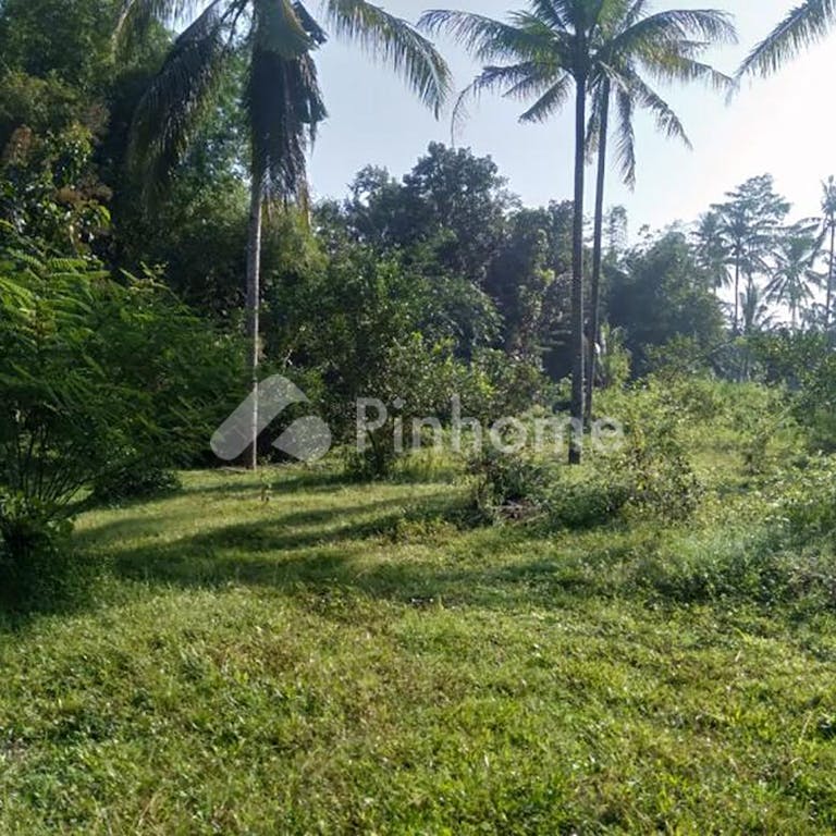 Dijual Tanah Residensial Lokasi Strategis di Kawedusan Ponggok Blitar Jawa Timur - Gambar 2