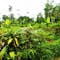 Dijual Tanah Residensial Lokasi Bagus Dekat Wisata di Cisomangbarat (Cisomang Barat) - Thumbnail 2