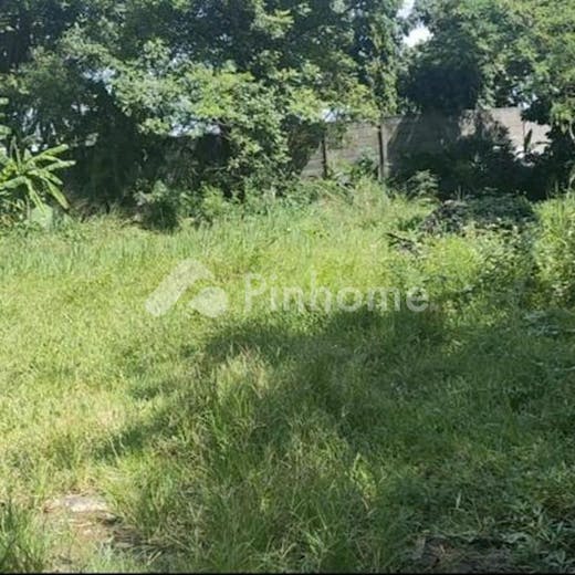 dijual tanah komersial lokasi strategis di jalan kp  sawah pondok rajeg - 2