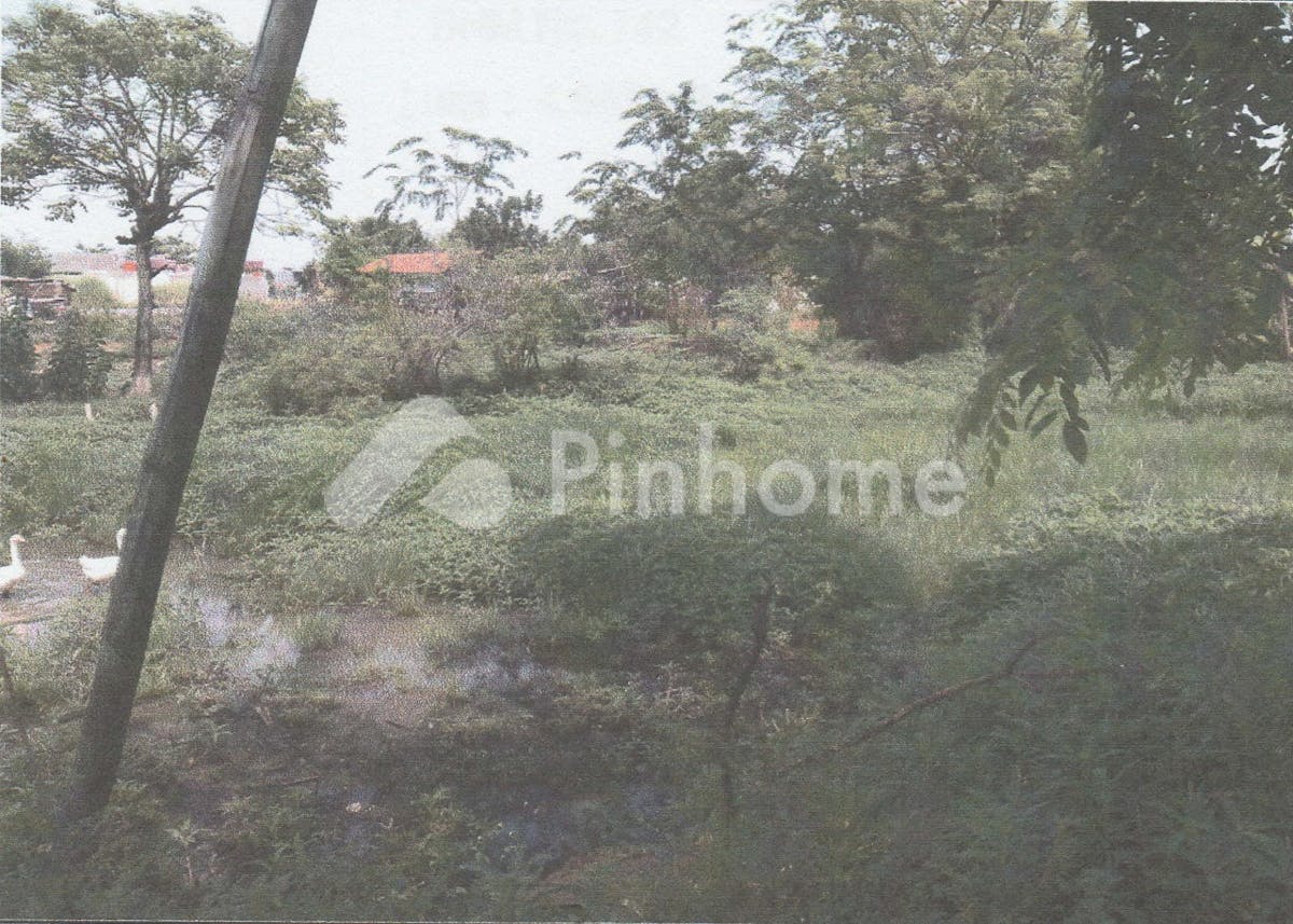 dijual tanah residensial lokasi strategis di jl  permata raya rt 001 rw 004  desa karang satria  kec  tambun  kab  bekasi - 3