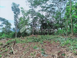 Dijual Tanah Residensial Lokasi Strategis di Mojogedang Karanganyar - Gambar 2