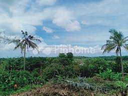 Dijual Tanah Residensial Lokasi Strategis di Mojogedang Karanganyar - Gambar 3