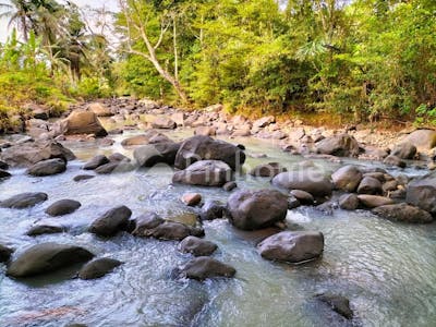 dijual tanah residensial lokasi strategis di selemadeg  tabanan  bali - 5