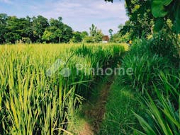 Dijual Tanah Residensial Lingkungan Asri di Desa Munggur, Mojegedang - Gambar 5