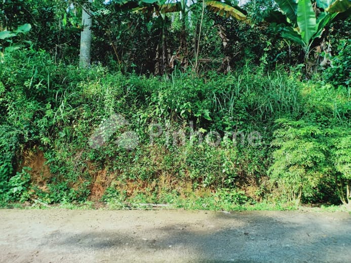 dijual tanah residensial lokasi strategis di ngargoyoso karanganyar ngargoyoso kabupaten karanganyar jawa tengah - 1
