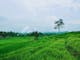 Dijual Tanah Residensial Lokasi Strategis di Karangpandan Karanganyar Karangpandan Kabupaten Karanganyar Jawa Tengah - Thumbnail 1