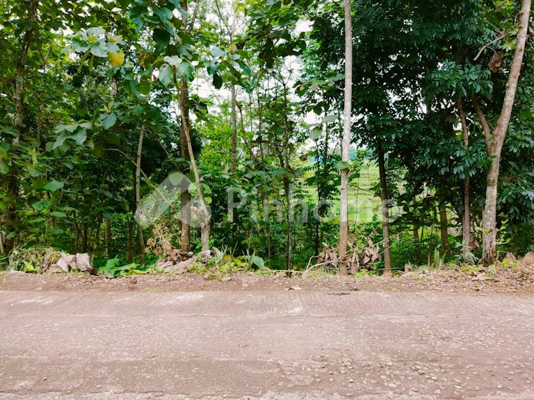 Dijual Tanah Residensial Lokasi Strategis di Karangpandan - Gambar 2
