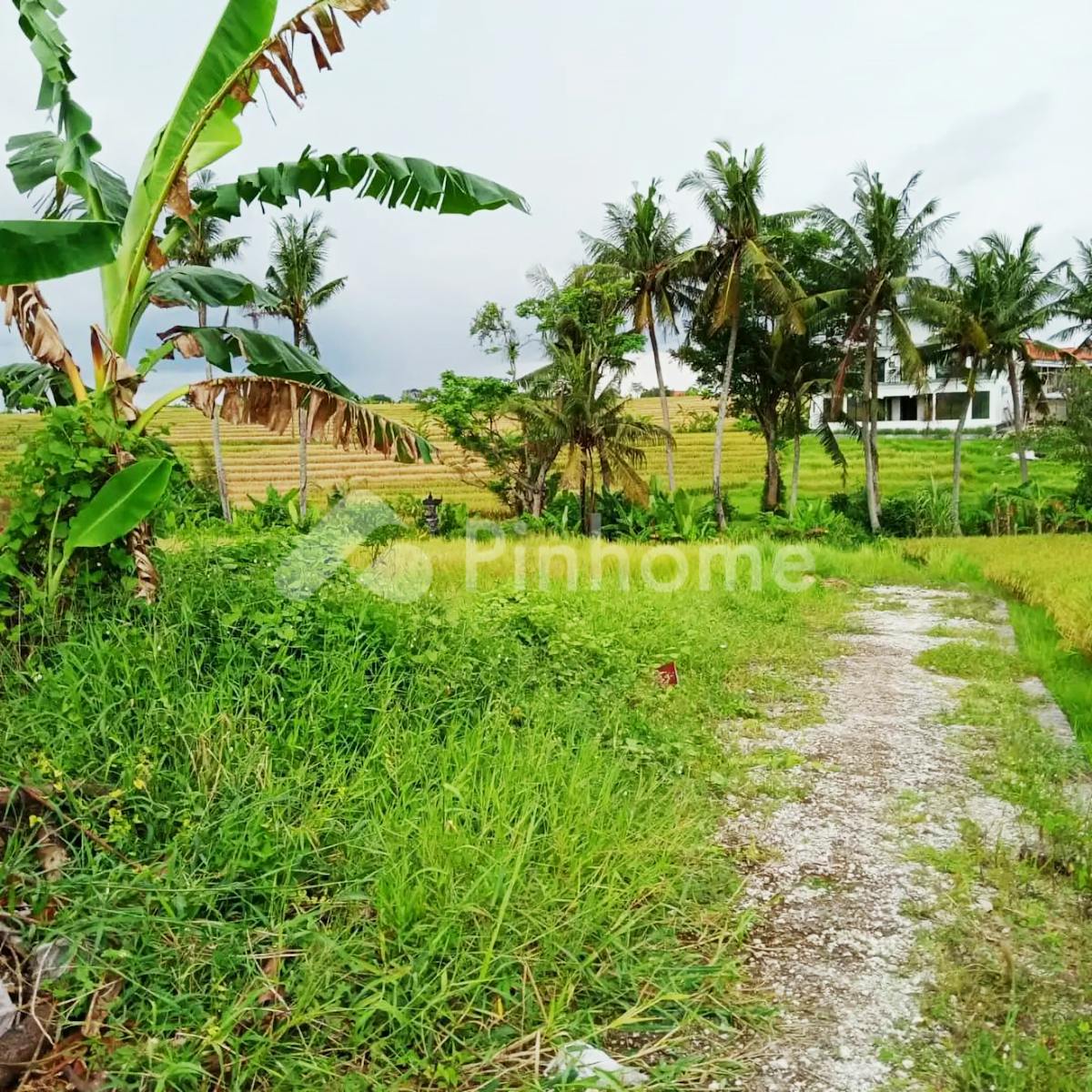 Dijual Tanah Residensial Sangat Cocok Untuk Investasi di Pantai Lima - Gambar 1