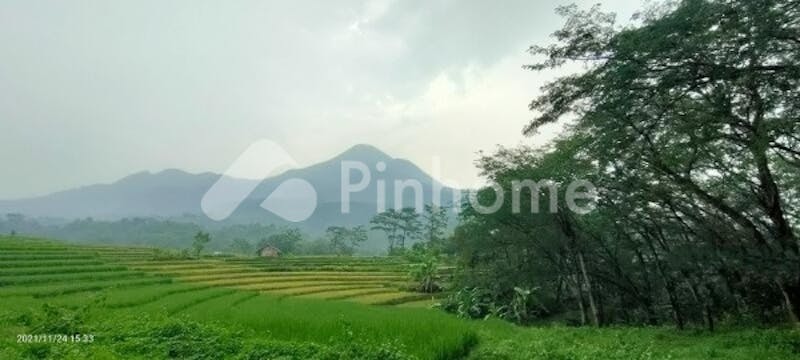 dijual tanah komersial lokasi strategis dekat mall di jalan raya trawas - 5