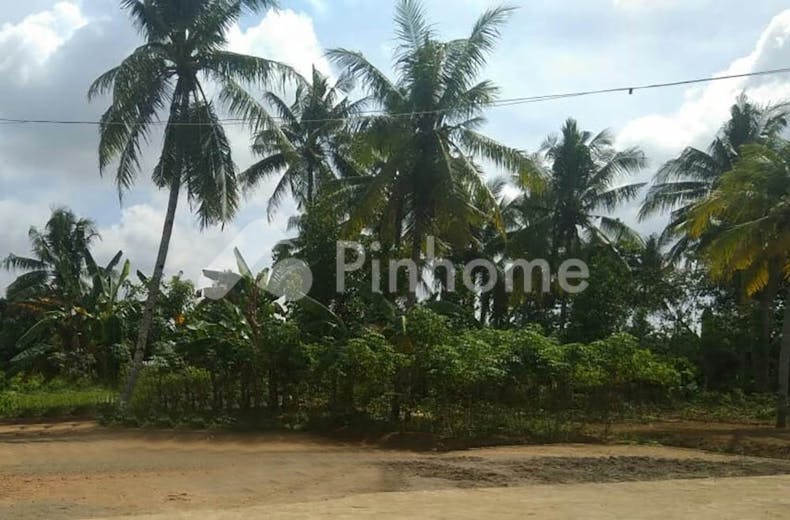 dijual tanah residensial lokasi strategis di pasar mega asri sukajadi talang kelapa banyuasin palembang - 2
