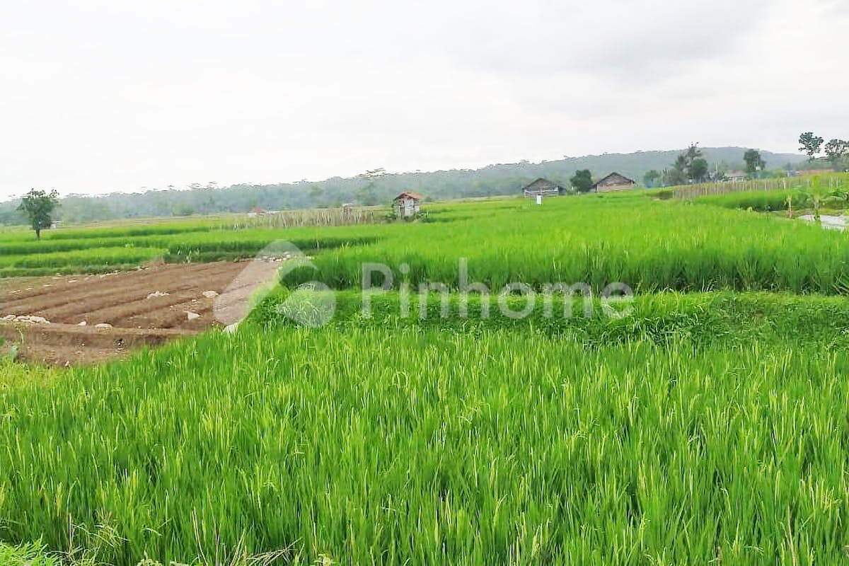 similar property dijual tanah residensial lokasi strategis dekat balai desa di jipang - 2