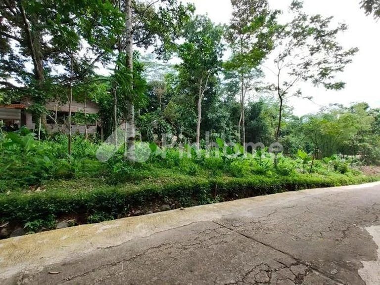 Dijual Tanah Residensial Lokasi Bagus Dekat Kawasan Wisata Alam di Jl. Dusun Sumber Bulu - Gambar 3