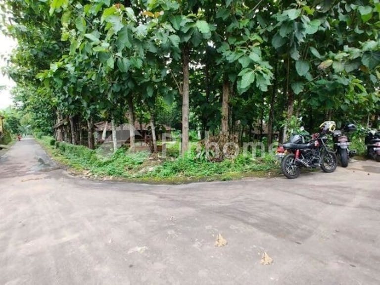 Dijual Tanah Residensial Sangat Cocok Untuk Investasi Dekat Tempat Wisata di Karangpandan (Karang Pandan) - Gambar 3