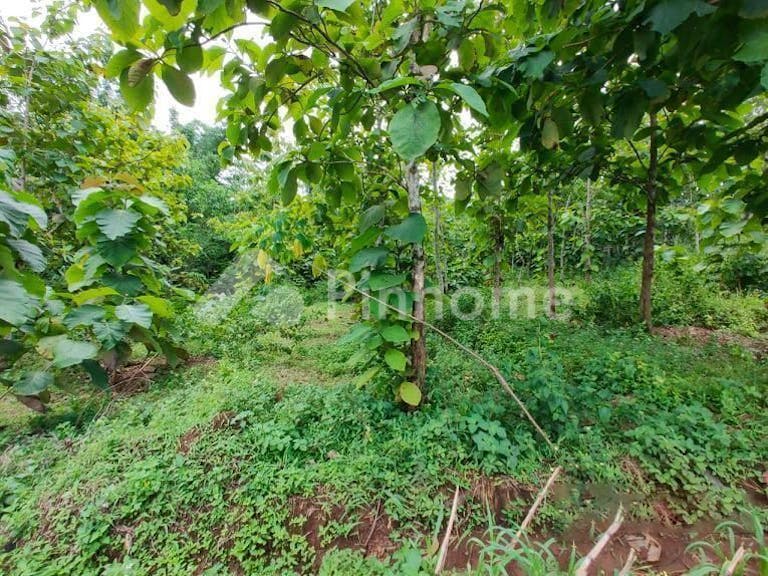 Dijual Tanah Residensial Sangat Cocok Untuk Investasi Dekat Pasar Plangsalam di Mojogedang - Gambar 3