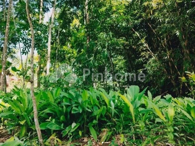 Dijual Tanah Residensial Sangat Cocok Untuk Investasi Dekat Tempat Wisata di Mojogedang - Gambar 3