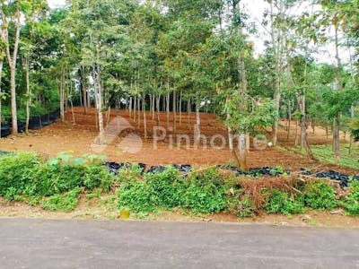Dijual Tanah Residensial Sangat Cocok Untuk Investasi Dekat Fasilitas Umum di Jl. Raya Solo-Tawangmangu - Gambar 1