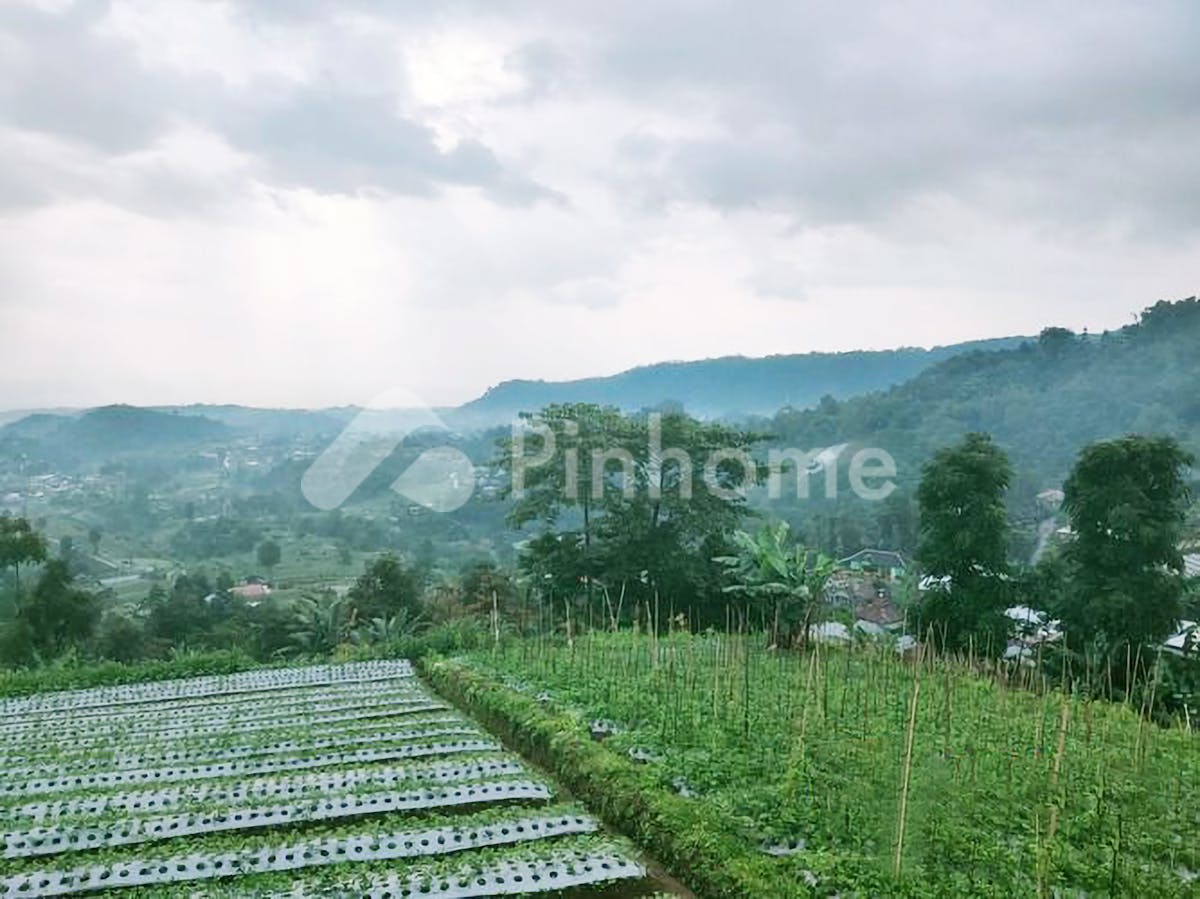 Dijual Tanah Residensial Sangat Cocok Untuk Investasi Dekat Kebun Teh di Kemuning - Gambar 1