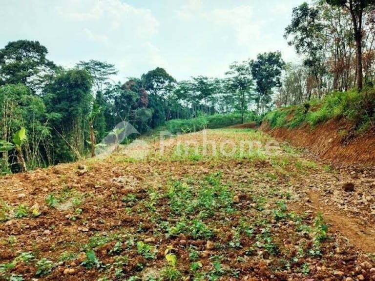 Dijual Tanah Residensial Sangat Cocok Untuk Investasi Dekat Tempat Wisata di Karangpandan (Karang Pandan) - Gambar 2