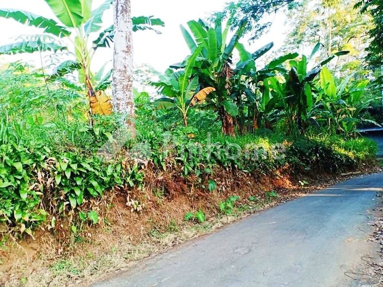 Dijual Tanah Residensial Sangat Cocok Untuk Investasi Dekat Kantor Kecamatan di Kemuning - Gambar 3