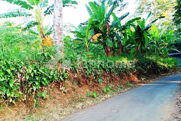 dijual tanah residensial sangat cocok untuk investasi dekat kantor kecamatan di kemuning - 3