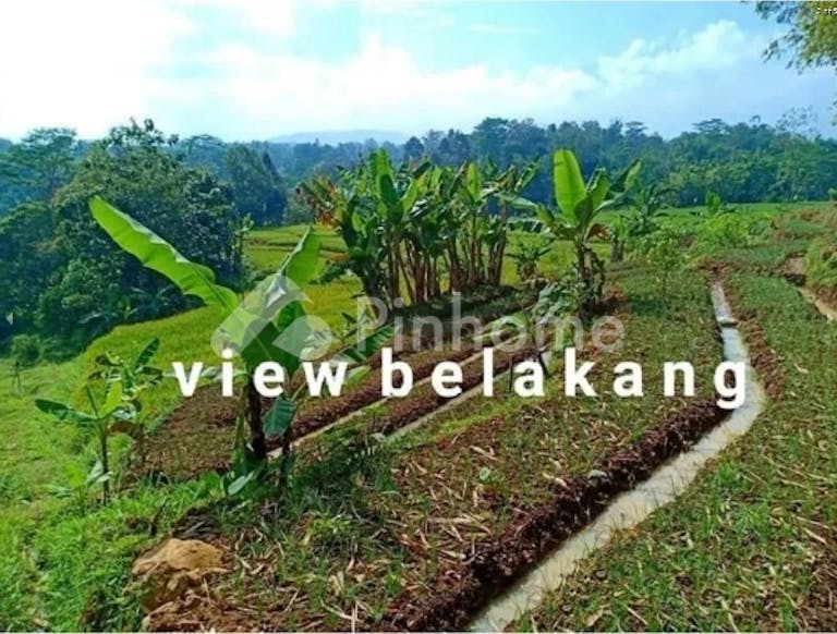 Dijual Tanah Residensial Lokasi Strategis Dekat Tempat Wisata di Karangpandan (Karang Pandan) - Gambar 5