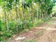Dijual Tanah Komersial Sangat Cocok Untuk Investasi Dekat Kantor Kecamatan di Karangpandan (Karang Pandan) - Thumbnail 1