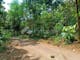 Dijual Tanah Komersial Sangat Cocok Untuk Investasi Dekat Kantor Kecamatan di Karangpandan (Karang Pandan) - Thumbnail 5