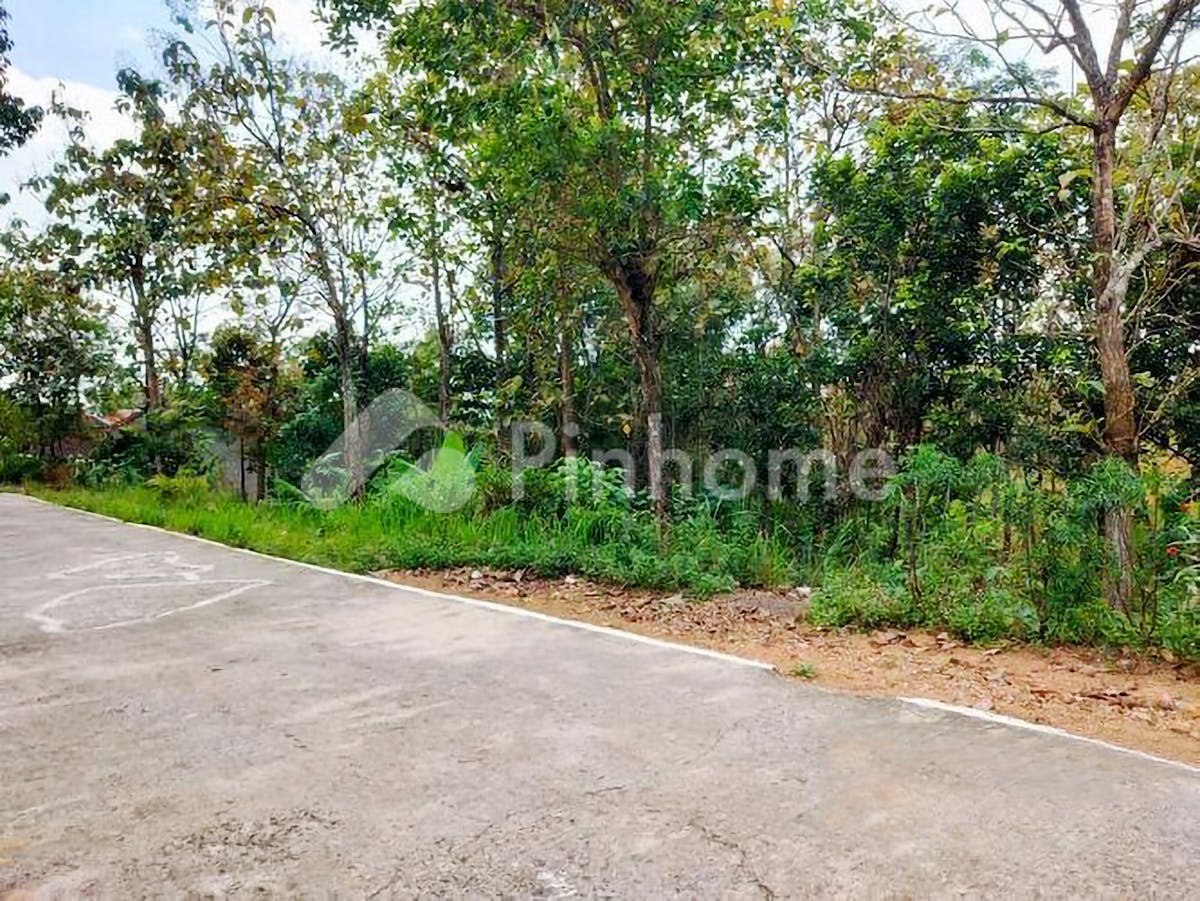 Dijual Tanah Residensial Sangat Cocok Untuk Investasi Dekat Pasat Batujamus di Jl. Utama Kerjo-Ngargoyoso - Gambar 1