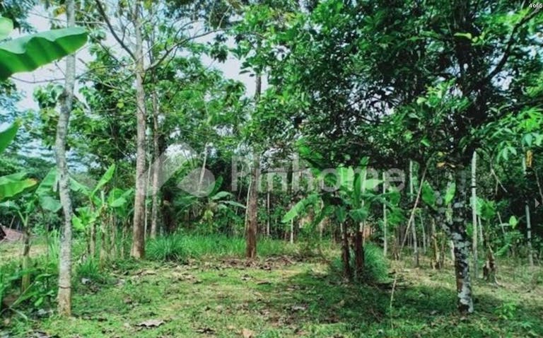 Dijual Tanah Residensial Sangat Cocok Untuk Investasi Dekat Pasar di Mojogedang - Gambar 3