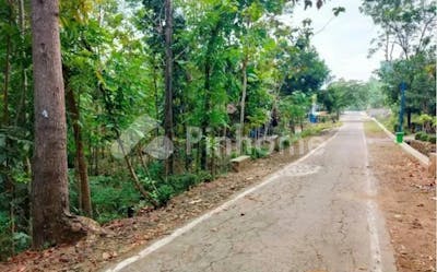 dijual tanah residensial sangat cocok untuk investasi dekat pasar jambangan di karangpelem  karang pelem - 5