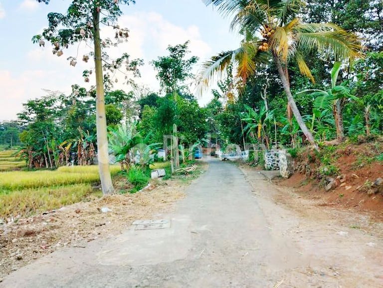 Dijual Tanah Residensial Lokasi Strategis Dekat SMAN 1 Karangpandan di Karangpandan (Karang Pandan) - Gambar 5