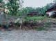 Dijual Tanah Residensial Lokasi Strategis Dekat SMAN 1 Karangpandan di Karangpandan (Karang Pandan) - Thumbnail 2