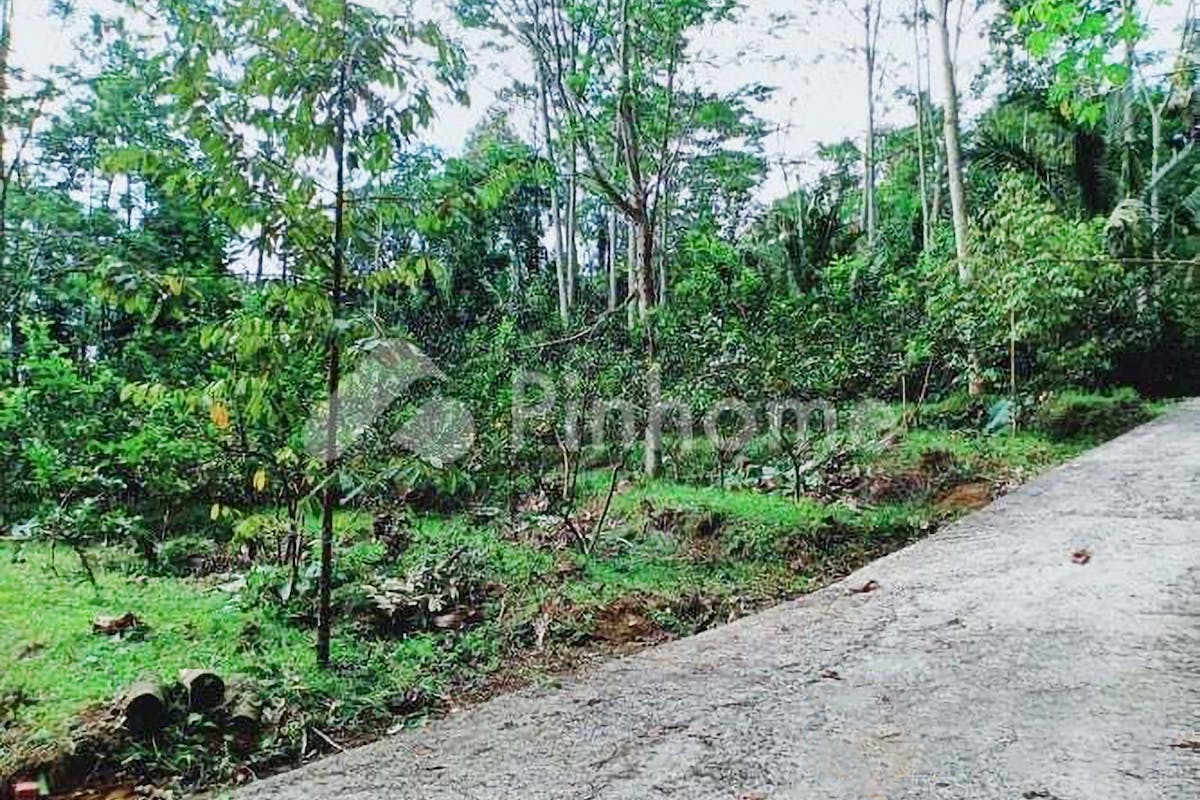 similar property dijual tanah residensial lokasi strategis dekat kantor kecamatan di jl  raya ngargoyoso kemuning - 4