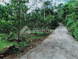 Dijual Tanah Residensial Lokasi Strategis Dekat Kantor Kecamatan di Jl. Raya Ngargoyoso-Kemuning - Gambar 5