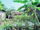 Dijual Tanah Residensial Lokasi Strategis Dekat Kantor Pertanian di Kedawung - Thumbnail 2