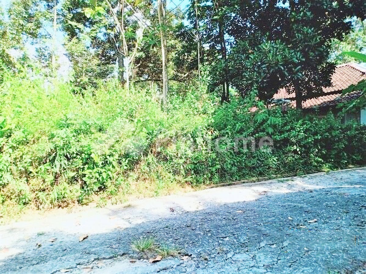 Dijual Tanah Residensial Sangat Cocok Untuk Investasi Dekat Pasar di Karangpandan (Karang Pandan) - Gambar 1