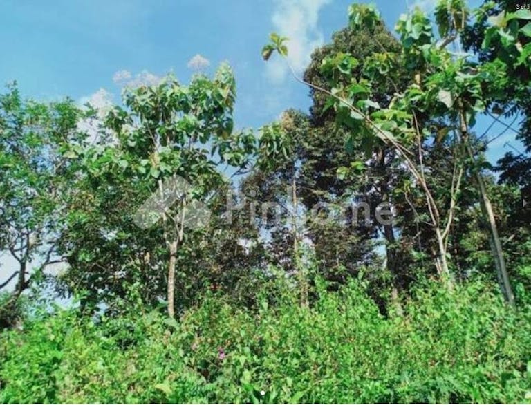 Dijual Tanah Residensial Sangat Cocok Untuk Investasi Dekat Pasar di Karangpandan (Karang Pandan) - Gambar 3