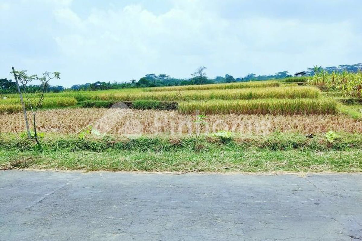 similar property dijual tanah residensial lokasi strategis dekat kantor desa di jl  mojogedang karangpandan - 2
