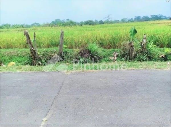 dijual tanah residensial lokasi strategis dekat kantor desa di jl  mojogedang karangpandan - 4