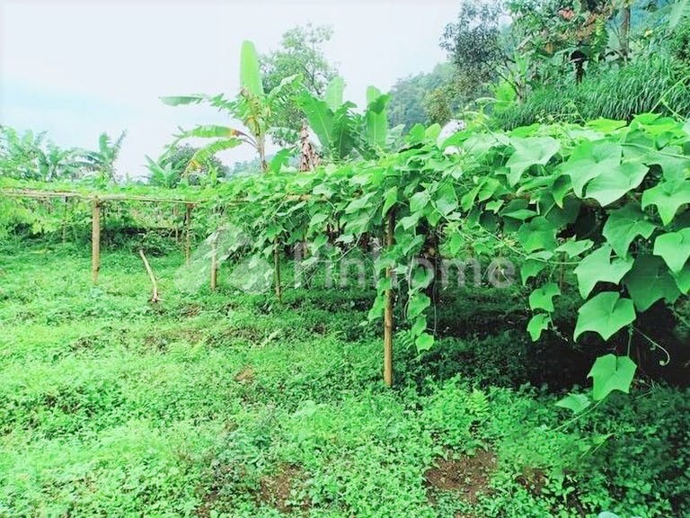 Dijual Tanah Residensial Sangat Cocok Untuk Investasi Dekat Kebun Teh di Kemuning - Gambar 2
