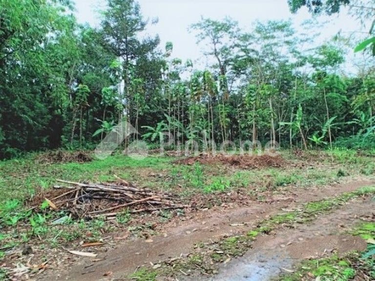 Dijual Tanah Residensial Lokasi Strategis Dekat Wisata Kebun Durian di Mojogedang - Gambar 3
