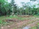 Dijual Tanah Residensial Lokasi Strategis Dekat Wisata Kebun Durian di Mojogedang - Thumbnail 3