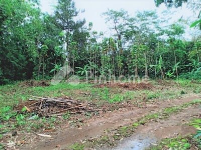 dijual tanah residensial lokasi strategis dekat wisata kebun durian di mojogedang - 3