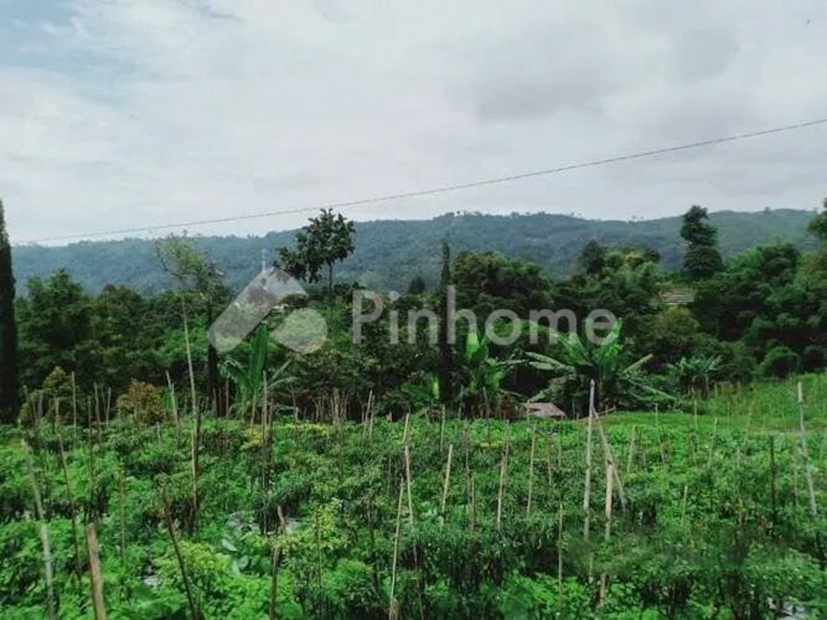 Dijual Tanah Residensial Sangat Cocok Untuk Investasi Dekat Kebun Teh di Jl. DPU - Gambar 1