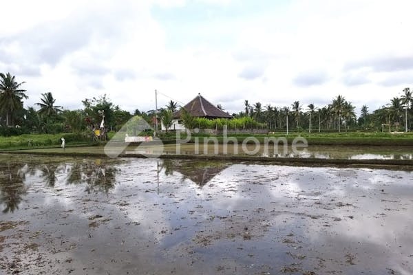 dijual tanah residensial lokasi strategis dekat pusat perbelanjaan di jalan cinta ubud - 8