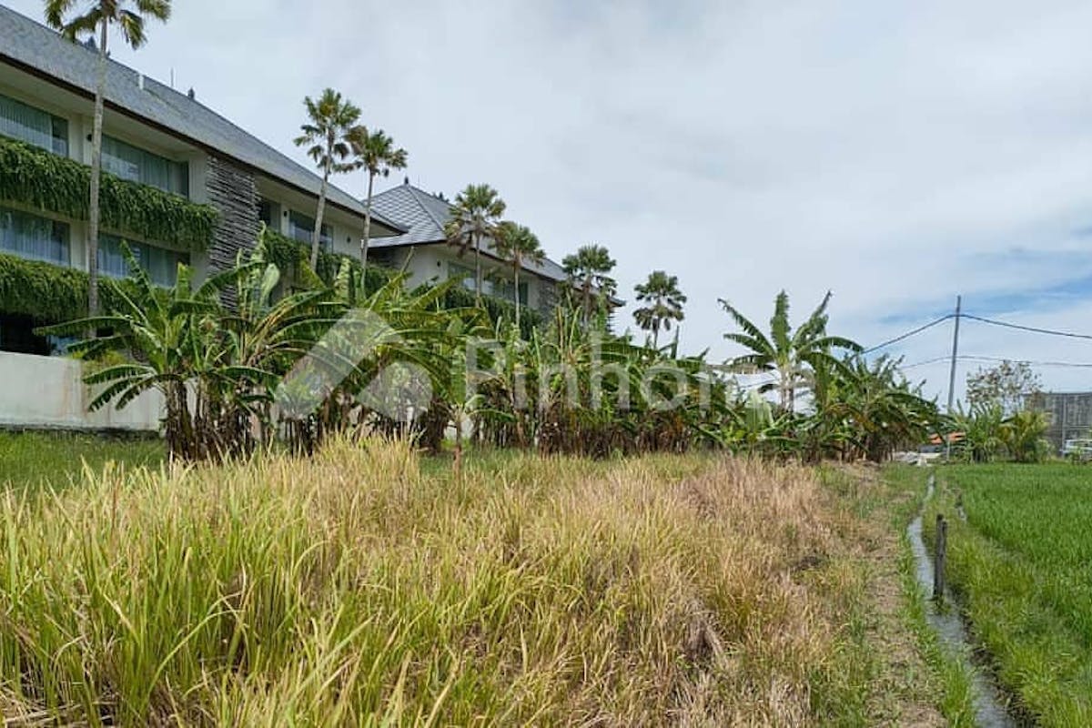similar property dijual tanah residensial sangat cocok untuk investasi di pantai lima beach jalan babahan  pererenan - 3