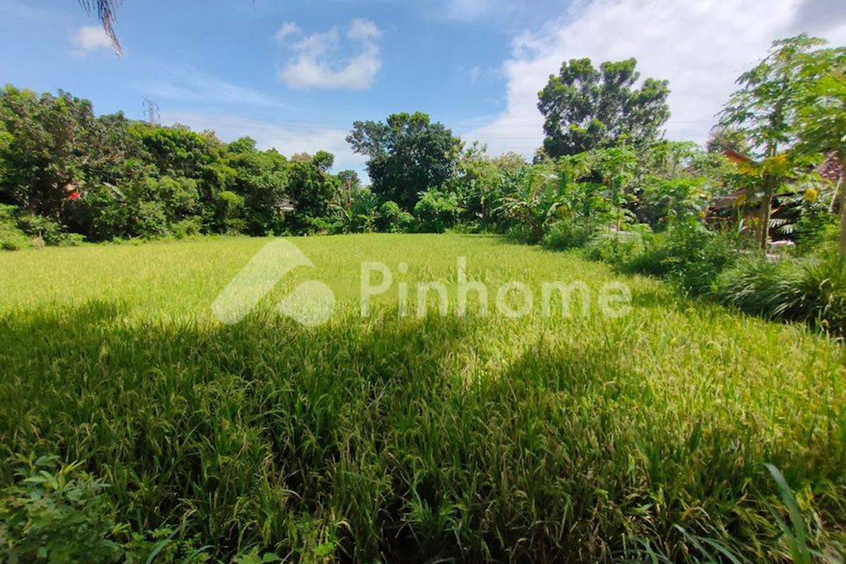 similar property dijual tanah residensial super strategis di jl  kasongan  bangunjiwo - 1
