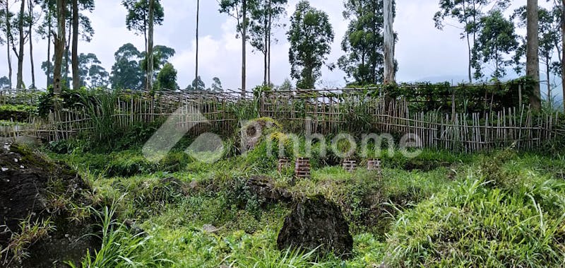 dijual tanah residensial lokasi bagus di resort rancabali ciwidey - 5