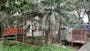 Dijual Tanah Residensial Super Strategis Dekat Depo Bangunan di Perumahan Nuansa Mas - Thumbnail 2